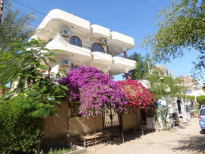 Гостиница Hagag Appartement et ses terrasses  Луксор